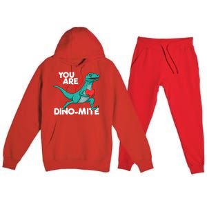 You Are Dinocute Giftmite Dinosaur Valentines Day Dinosaur Great Gift Premium Hooded Sweatsuit Set