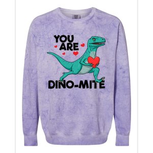 You Are Dinogiftmite Dinosaur Valentines Day Dinosaur Funny Gift Colorblast Crewneck Sweatshirt