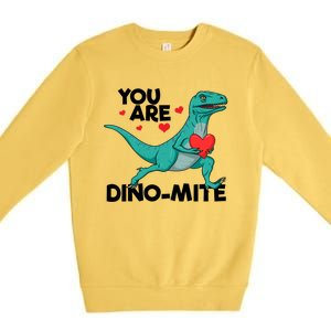 You Are Dinogiftmite Dinosaur Valentines Day Dinosaur Funny Gift Premium Crewneck Sweatshirt