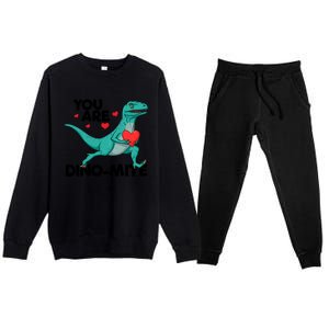 You Are Dinogiftmite Dinosaur Valentines Day Dinosaur Funny Gift Premium Crewneck Sweatsuit Set