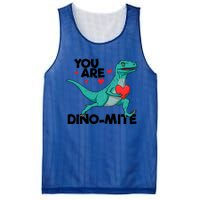 You Are Dinogiftmite Dinosaur Valentines Day Dinosaur Funny Gift Mesh Reversible Basketball Jersey Tank