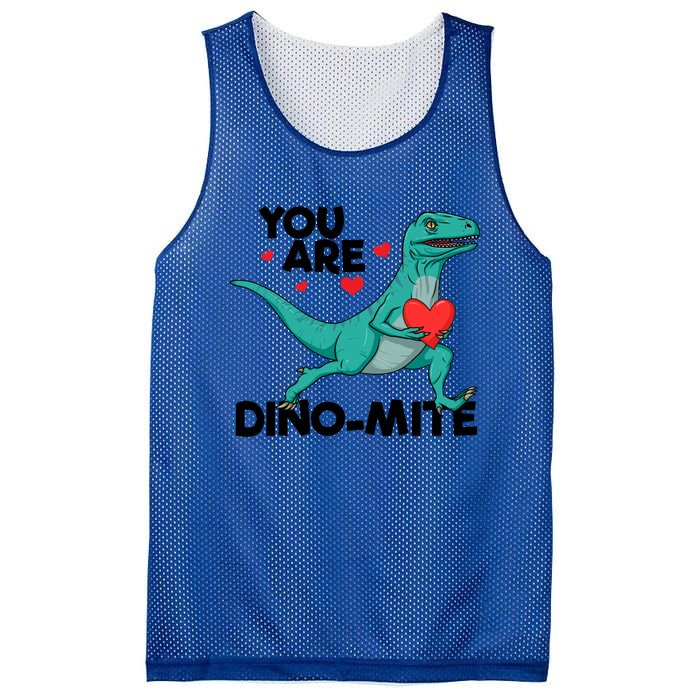 You Are Dinogiftmite Dinosaur Valentines Day Dinosaur Funny Gift Mesh Reversible Basketball Jersey Tank