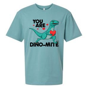 You Are Dinogiftmite Dinosaur Valentines Day Dinosaur Funny Gift Sueded Cloud Jersey T-Shirt