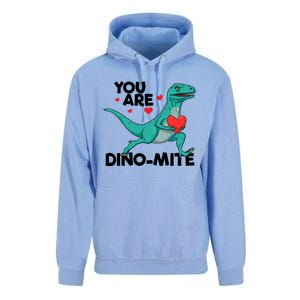 You Are Dinogiftmite Dinosaur Valentines Day Dinosaur Funny Gift Unisex Surf Hoodie