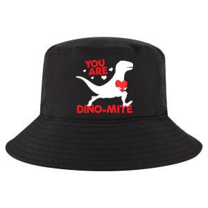 You Are Dinogiftmite Dinosaur Valentines Day Dinosaur Gift Cool Comfort Performance Bucket Hat