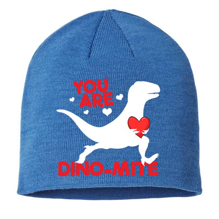 You Are Dinogiftmite Dinosaur Valentines Day Dinosaur Gift Sustainable Beanie