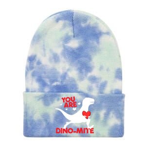 You Are Dinogiftmite Dinosaur Valentines Day Dinosaur Gift Tie Dye 12in Knit Beanie