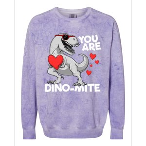 You Are Dinogiftmite Tgiftrex Dinosaur Valentines Day Trex Funny Gift Colorblast Crewneck Sweatshirt