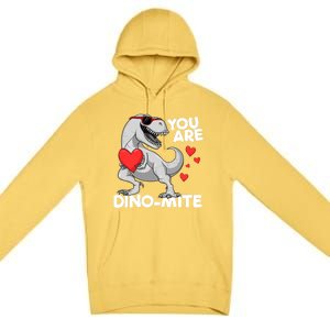 You Are Dinogiftmite Tgiftrex Dinosaur Valentines Day Trex Funny Gift Premium Pullover Hoodie