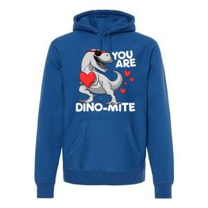 You Are Dinogiftmite Tgiftrex Dinosaur Valentines Day Trex Funny Gift Premium Hoodie