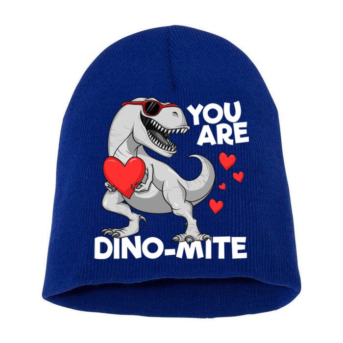 You Are Dinogiftmite Tgiftrex Dinosaur Valentines Day Trex Funny Gift Short Acrylic Beanie