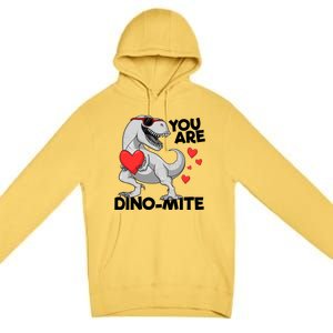 You Are Dinogiftmite Tgiftrex Dinosaur Valentines Day Trex Gift Premium Pullover Hoodie