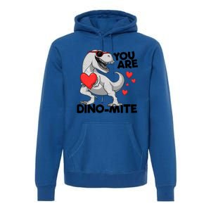 You Are Dinogiftmite Tgiftrex Dinosaur Valentines Day Trex Gift Premium Hoodie