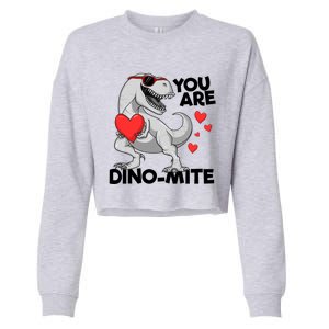 You Are Dinogiftmite Tgiftrex Dinosaur Valentines Day Trex Gift Cropped Pullover Crew