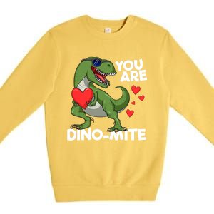 You Are Dinomeaningful Giftmite Tmeaningful Giftrex Dinosaur Valentines Day Trex Premium Crewneck Sweatshirt