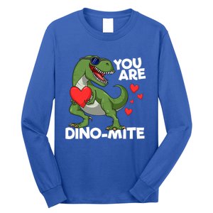 You Are Dinomeaningful Giftmite Tmeaningful Giftrex Dinosaur Valentines Day Trex Long Sleeve Shirt