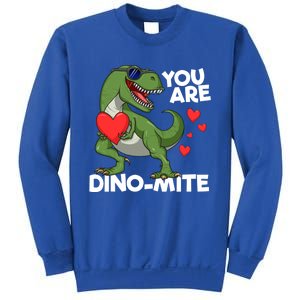 You Are Dinomeaningful Giftmite Tmeaningful Giftrex Dinosaur Valentines Day Trex Sweatshirt