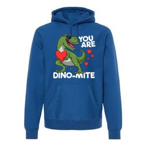 You Are Dinomeaningful Giftmite Tmeaningful Giftrex Dinosaur Valentines Day Trex Premium Hoodie