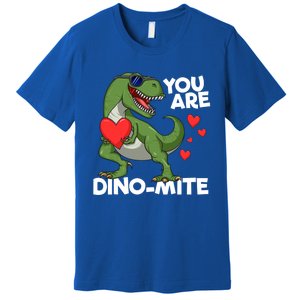 You Are Dinomeaningful Giftmite Tmeaningful Giftrex Dinosaur Valentines Day Trex Premium T-Shirt