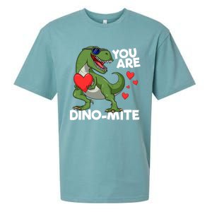 You Are Dinomeaningful Giftmite Tmeaningful Giftrex Dinosaur Valentines Day Trex Sueded Cloud Jersey T-Shirt