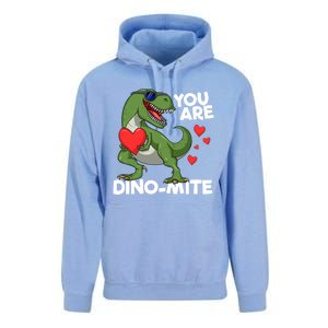 You Are Dinomeaningful Giftmite Tmeaningful Giftrex Dinosaur Valentines Day Trex Unisex Surf Hoodie