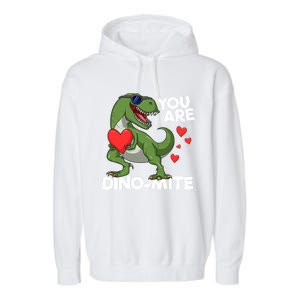 You Are Dinomeaningful Giftmite Tmeaningful Giftrex Dinosaur Valentines Day Trex Garment-Dyed Fleece Hoodie