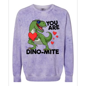 You Are Dinomeaningful Giftmite Tmeaningful Giftrex Dinosaur Valentines Day Trex Colorblast Crewneck Sweatshirt