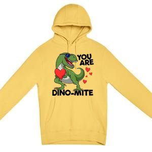 You Are Dinomeaningful Giftmite Tmeaningful Giftrex Dinosaur Valentines Day Trex Premium Pullover Hoodie