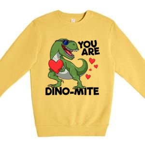 You Are Dinomeaningful Giftmite Tmeaningful Giftrex Dinosaur Valentines Day Trex Premium Crewneck Sweatshirt