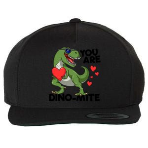 You Are Dinomeaningful Giftmite Tmeaningful Giftrex Dinosaur Valentines Day Trex Wool Snapback Cap