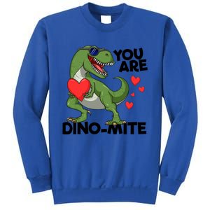 You Are Dinomeaningful Giftmite Tmeaningful Giftrex Dinosaur Valentines Day Trex Sweatshirt