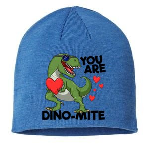 You Are Dinomeaningful Giftmite Tmeaningful Giftrex Dinosaur Valentines Day Trex Sustainable Beanie