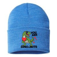 You Are Dinomeaningful Giftmite Tmeaningful Giftrex Dinosaur Valentines Day Trex Sustainable Knit Beanie