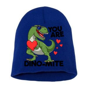 You Are Dinomeaningful Giftmite Tmeaningful Giftrex Dinosaur Valentines Day Trex Short Acrylic Beanie