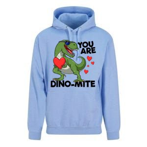 You Are Dinomeaningful Giftmite Tmeaningful Giftrex Dinosaur Valentines Day Trex Unisex Surf Hoodie