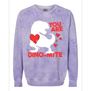 You Are Dinogiftmite Tgiftrex Dinosaur Valentines Day Trex Cool Gift Colorblast Crewneck Sweatshirt