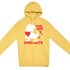 You Are Dinogiftmite Tgiftrex Dinosaur Valentines Day Trex Cool Gift Premium Pullover Hoodie