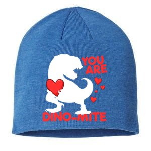 You Are Dinogiftmite Tgiftrex Dinosaur Valentines Day Trex Cool Gift Sustainable Beanie