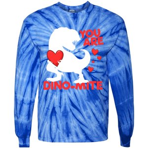 You Are Dinogiftmite Tgiftrex Dinosaur Valentines Day Trex Cool Gift Tie-Dye Long Sleeve Shirt