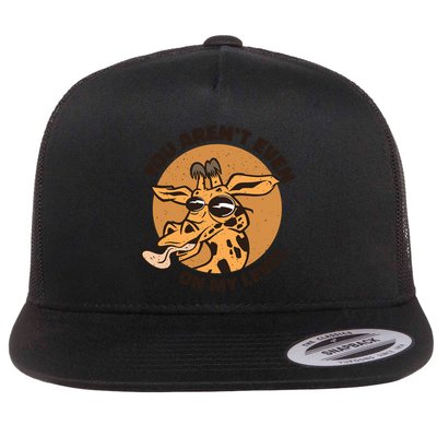 You Aren't Even On My Level Funny Flatbill Hat