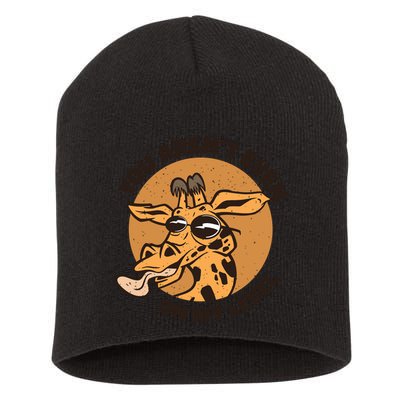 You Aren't Even On My Level Funny Short Acrylic Beanie