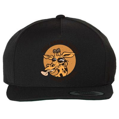 You Aren't Even On My Level Funny Wool Snapback Cap