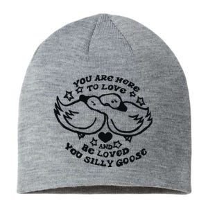 You Are Here To Love And Be Loved You Silly Goose Sustainable Beanie