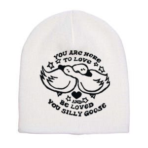 You Are Here To Love And Be Loved You Silly Goose Short Acrylic Beanie