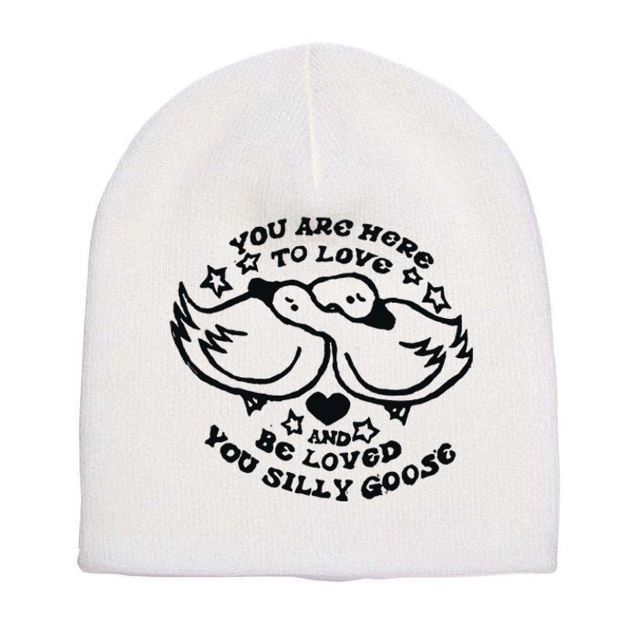 You Are Here To Love And Be Loved You Silly Goose Short Acrylic Beanie