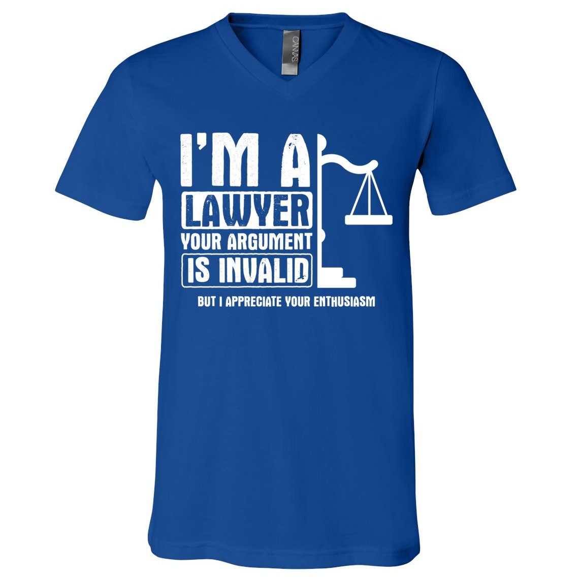 Your Agrut Is Invalid But I Appreciate Lawyer Cool Gift V-Neck T-Shirt