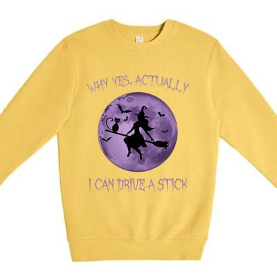 Yes Actually I Can Drive A Stick Halloween 2022 Premium Crewneck Sweatshirt