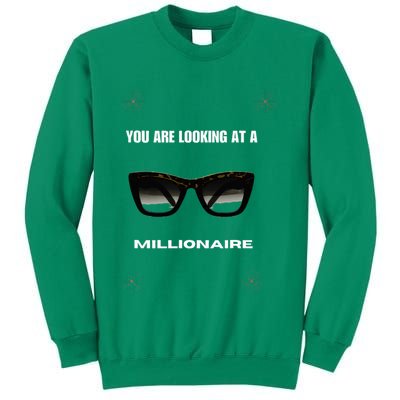 You Are Looking At A Millionaire Sweatshirt