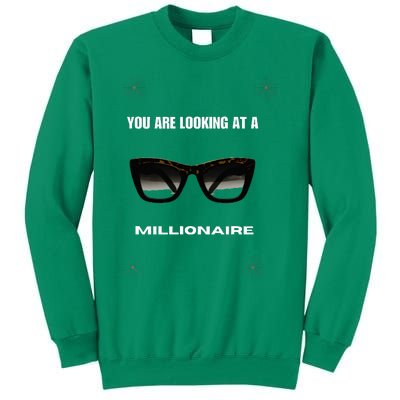 You Are Looking At A Millionaire Sweatshirt