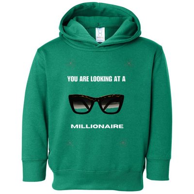 You Are Looking At A Millionaire Toddler Hoodie